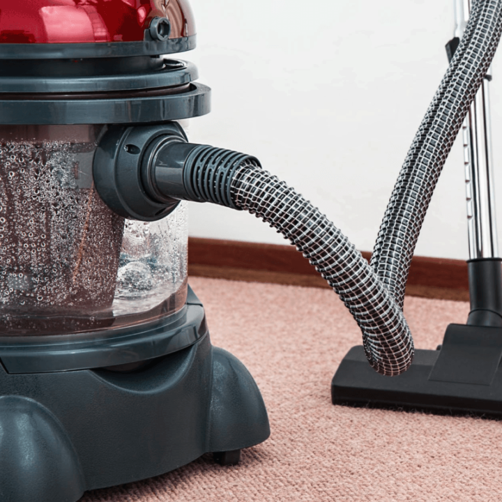How to Handle a Carpet Beetle Infestation