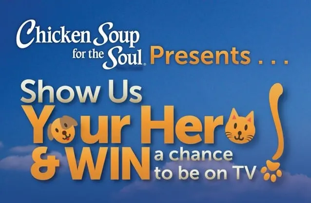 chicken soup for the soul pet hero