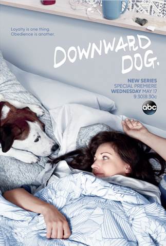 downward dog poster