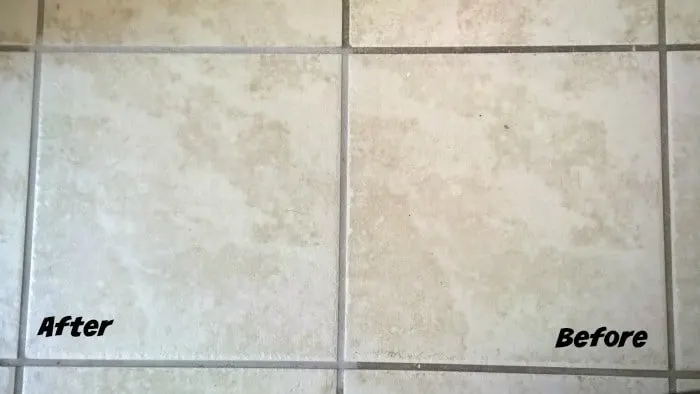 dupray one steam cleaner grout before and after