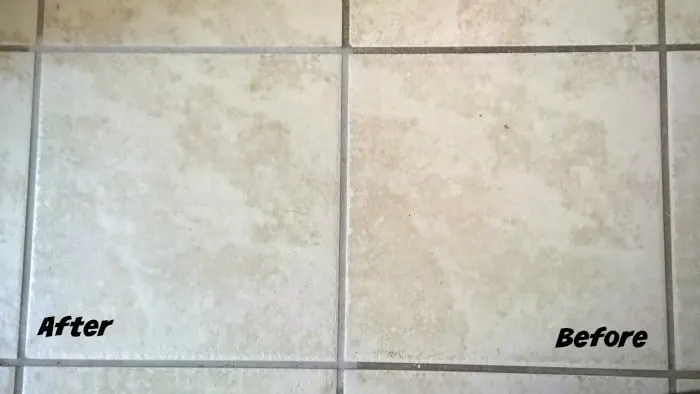 https://mommysmemorandum.com/wp-content/uploads/dupray-one-steam-cleaner-grout-before-and-after-700x394.jpg.webp