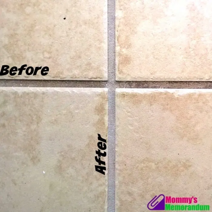 https://mommysmemorandum.com/wp-content/uploads/dupray-one-steam-cleaner-tackles-grout-700x700.jpg.webp