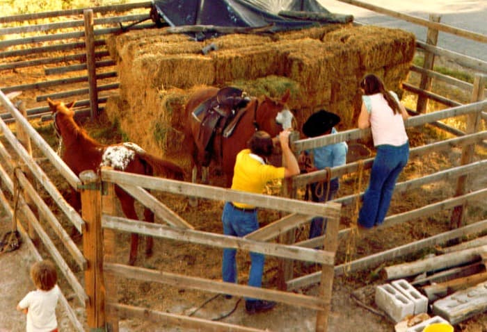 grandpa jack with bales of hay