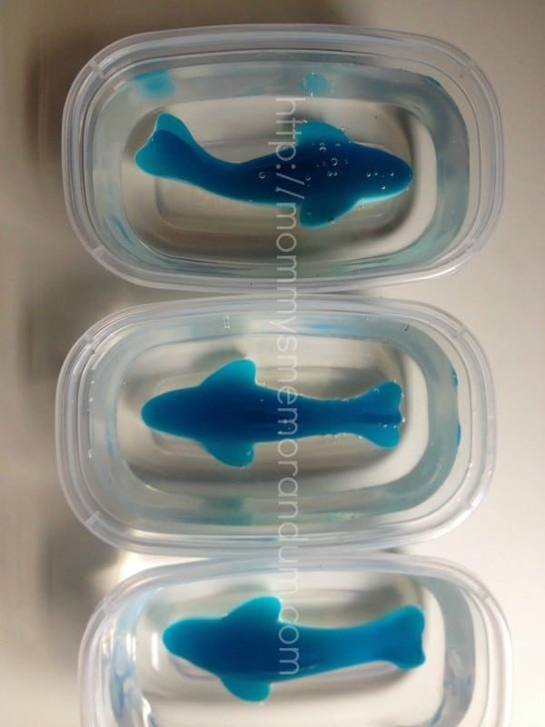 gummi sharks in water to make ice cubes