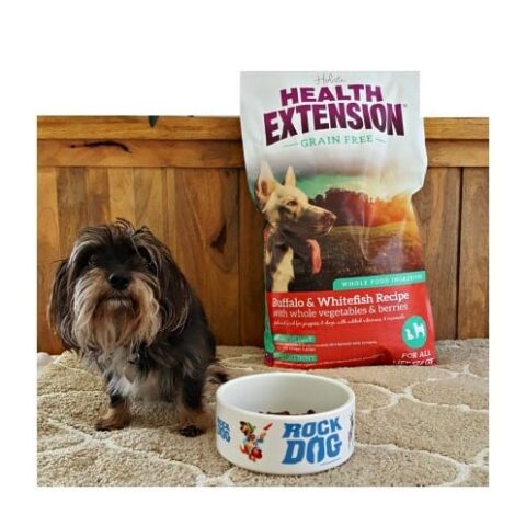 Holistic Health Extension Dog Food Review