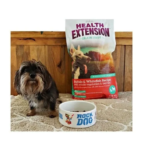 health extension dog food with bailey mae