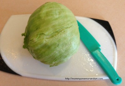 Use a plastic knife so lettuce doesn't turn brown