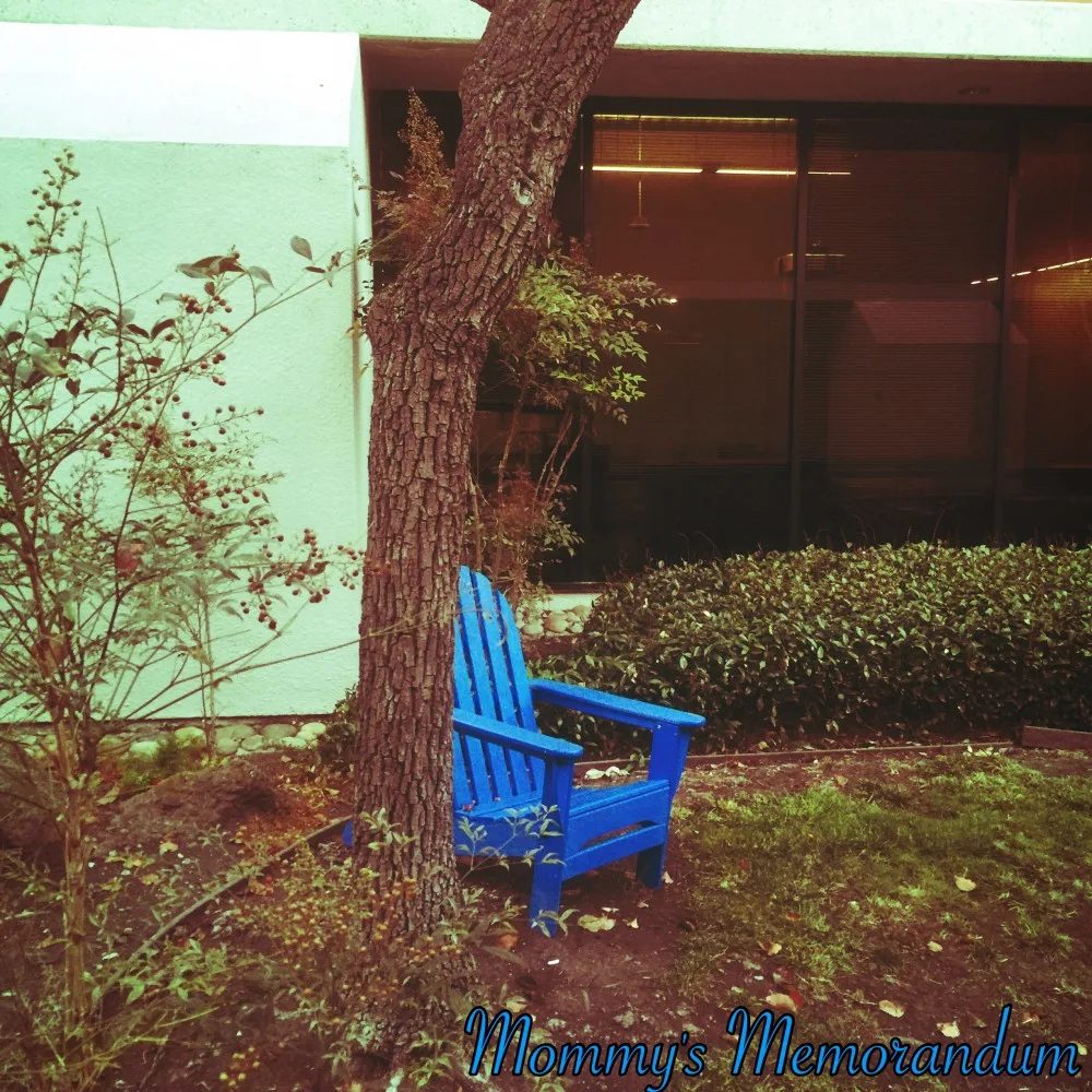 Colorful Adirondack chairs scattered around the Google Campus, showcasing the vibrant Googleplex environment