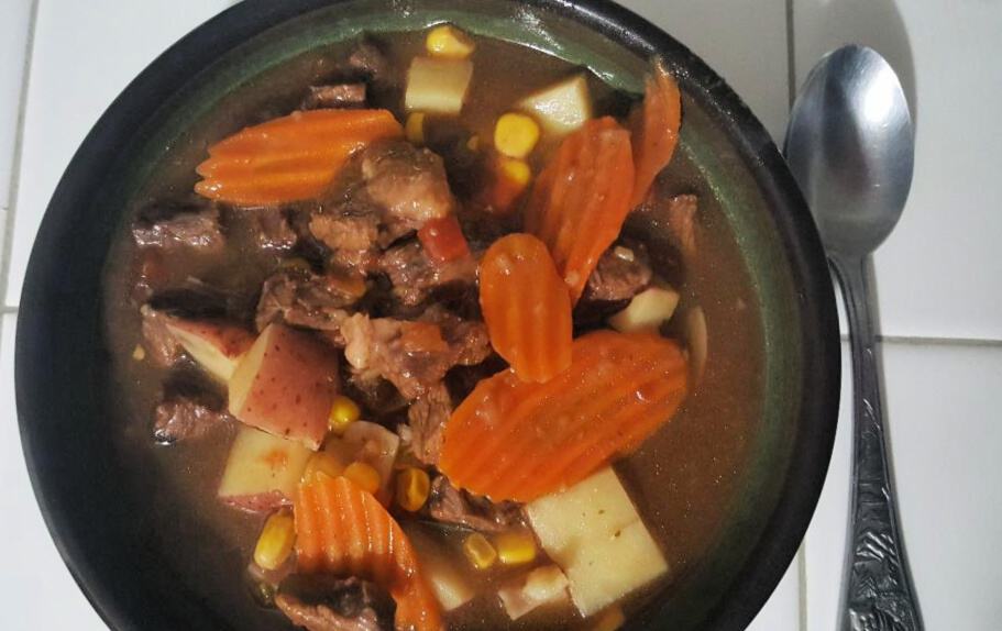 instant pot basic beef stew