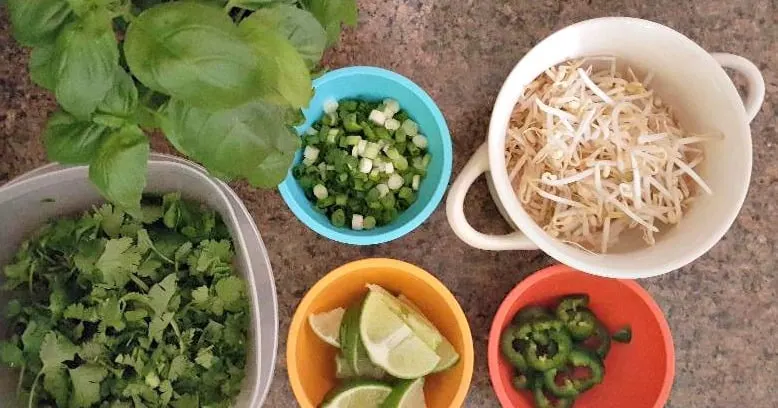 instant pot chicken pho gao garnishes