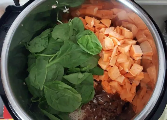 ingredients for homemade dog food in pressure cooker.