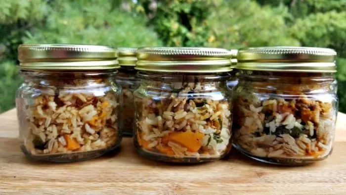 instant pot dog food in jars