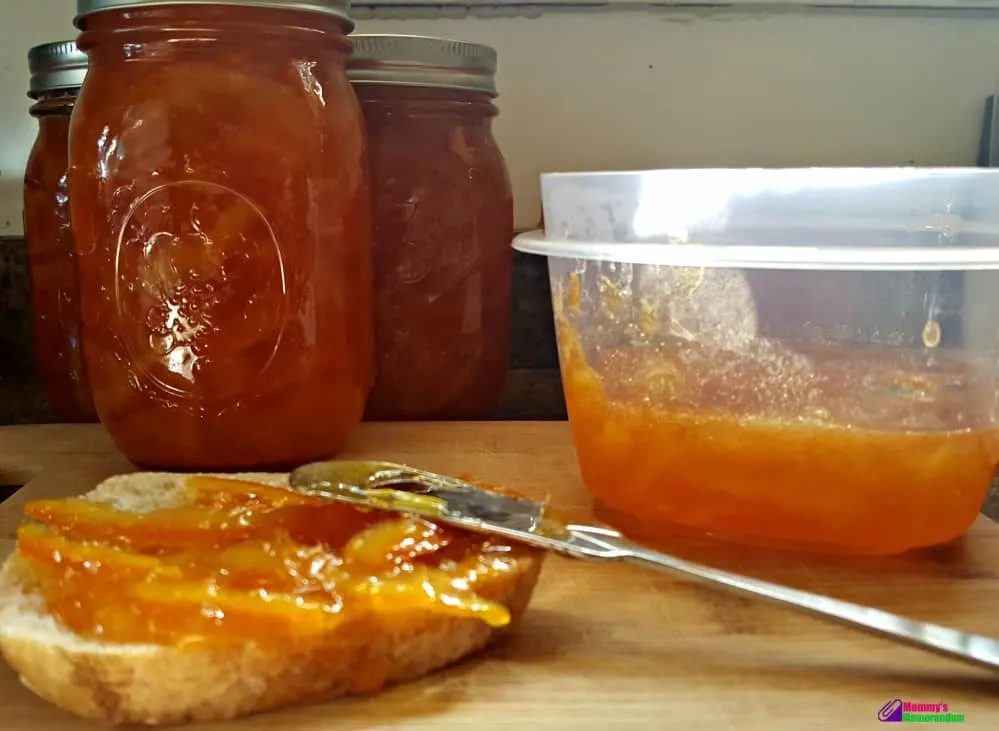 instant pot orange marmalade harvest