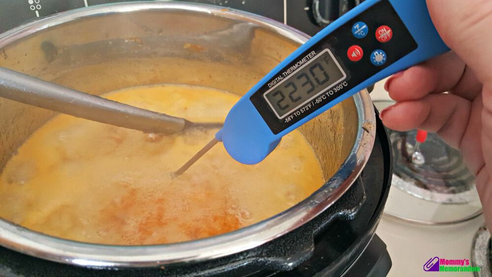 instant pot orange marmalade temperature