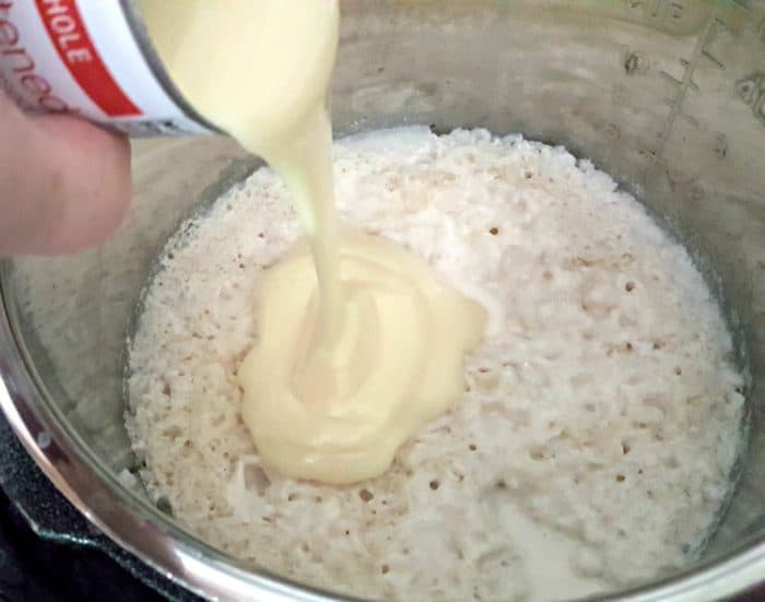 instant pot rice pudding (arroz con leche) add the condensed milk