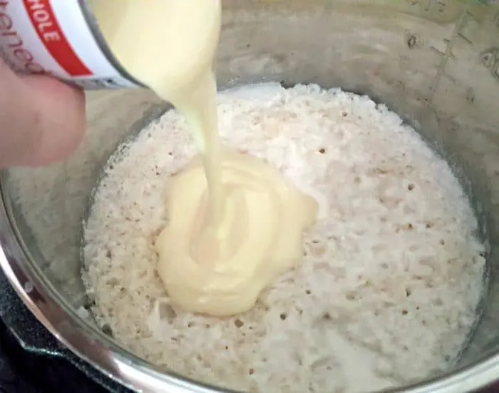 Instant pot rice discount pudding condensed milk