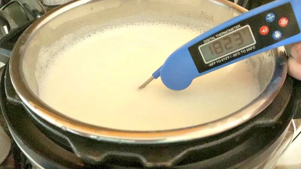 instant pot yogurt