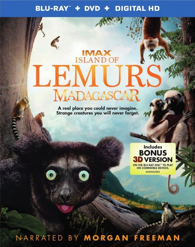 island-of-lemurs-madagascar-blu-ray-cover-79