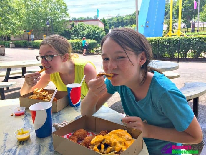 Chicken basket meal at Kennywood food stand