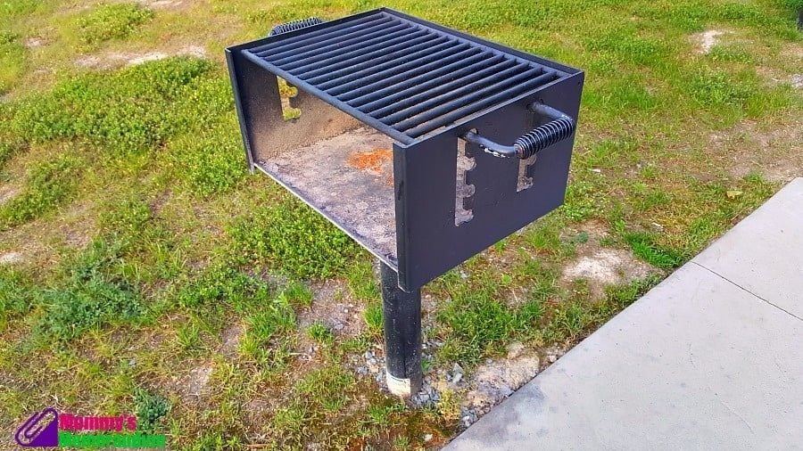 kings dominion deluxe cabin grill