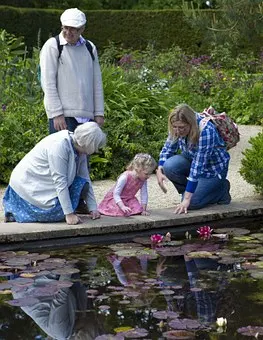 How to Build A Strong Relationship Between Children and Grandparents