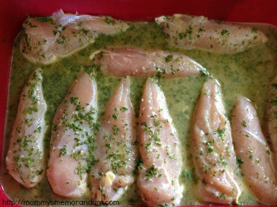 marinade for poultry or fish