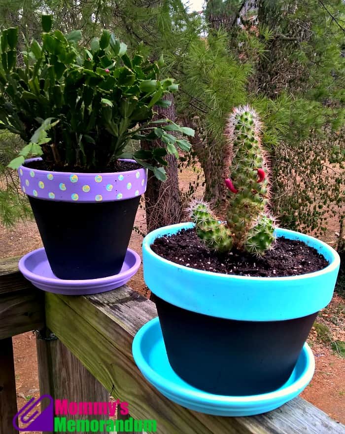 Tutorial: Chalkboard Flower Pots • Mommy's Memorandum