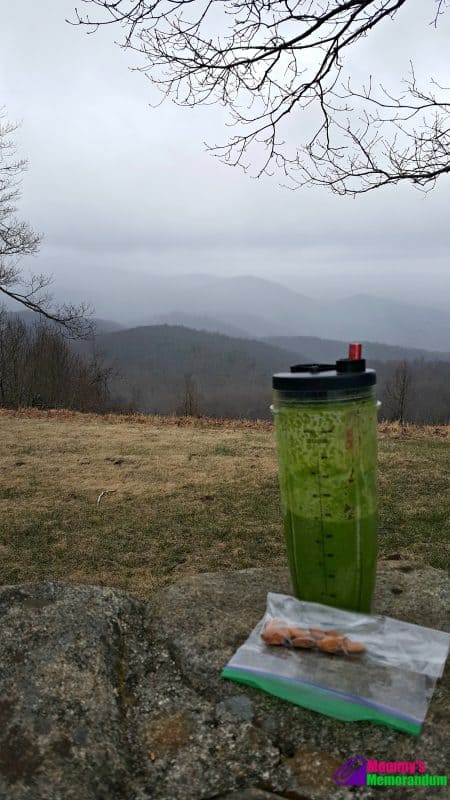 personal trainer food approved kale smoothie with a view