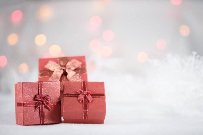 Top 4 Christmas Gift Ideas for Family: Practical and Precious