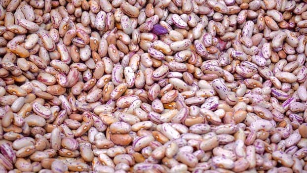 Instant Pot Cooking Dried Beans (No Presoaking)