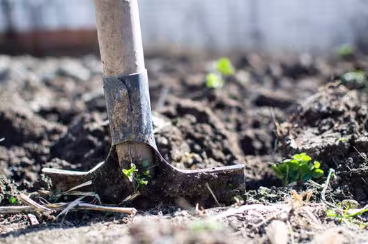 getting garden ready for spring
