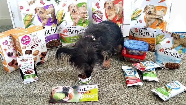 purina benefuls meditterannean medley