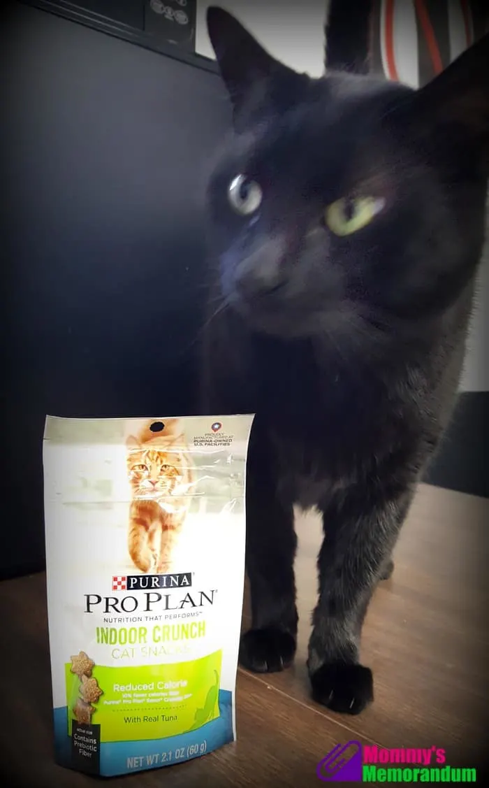 purina proplan with jinx