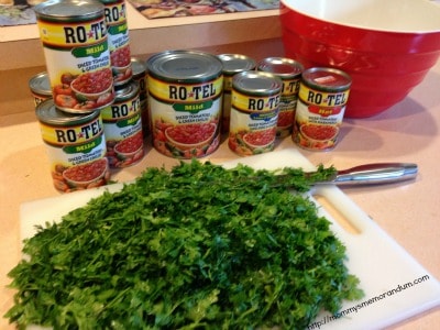 rotel salsa ingredients cilantro