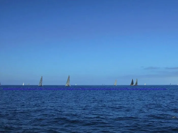 sail boating