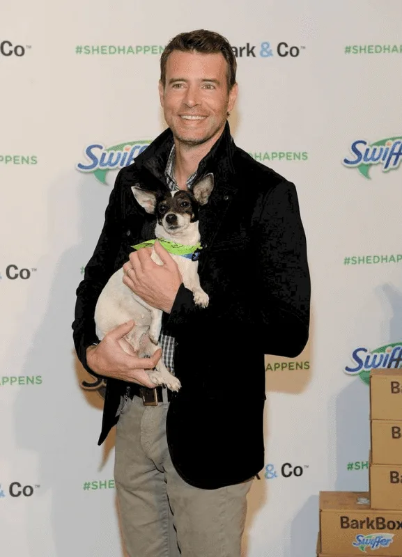 scott foley