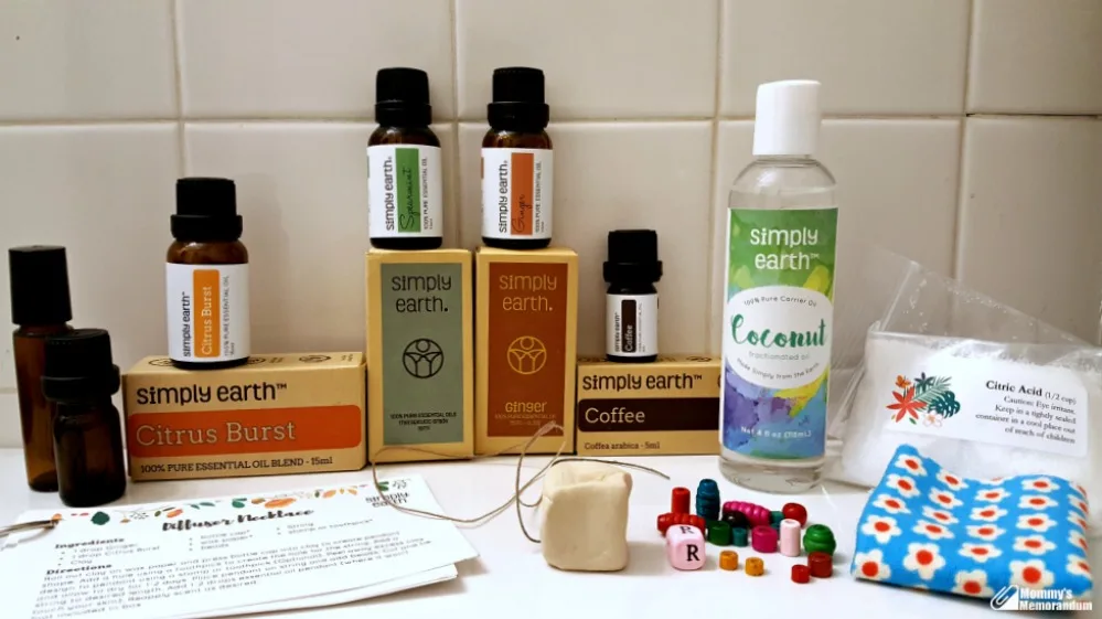 simply-earth-december-bring-in-the-holidays-subscription-box