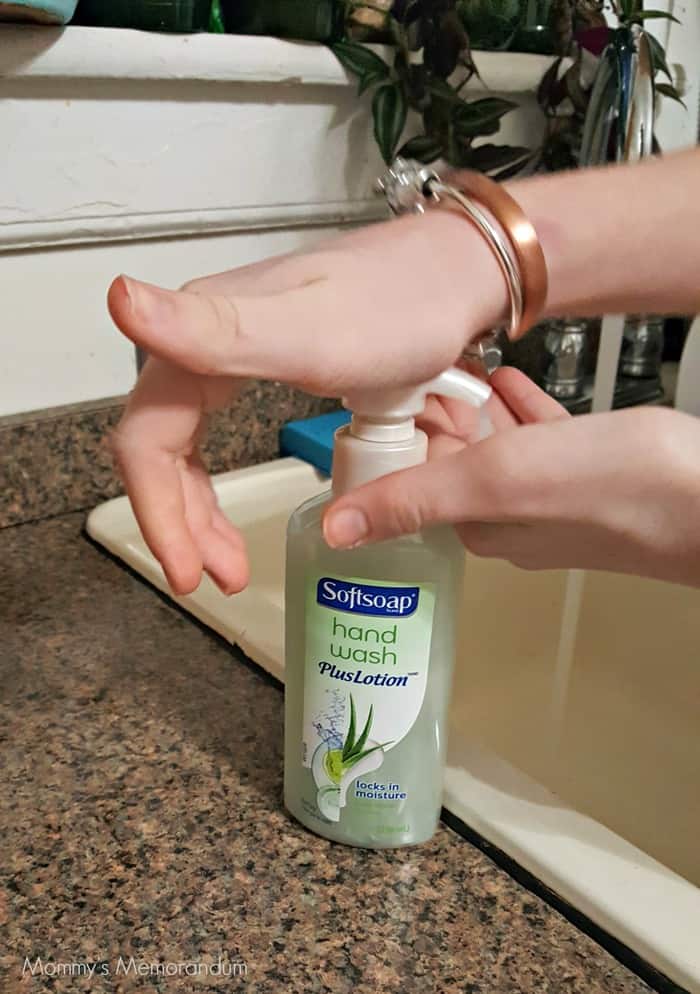 softsoap hand wash plus lotion at the sink