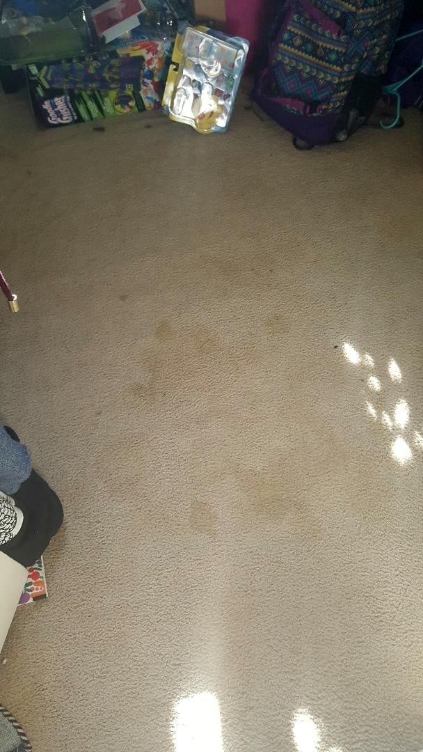 stains on carpet before mean green