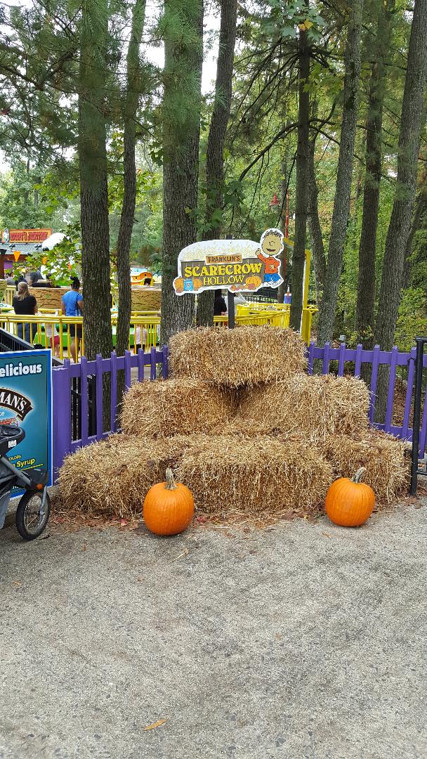 the great pumpkin fest franklins scarecrow hollow