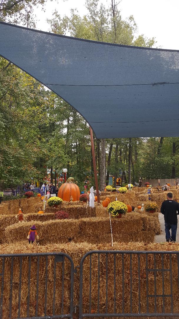 the great pumpkin fest maze