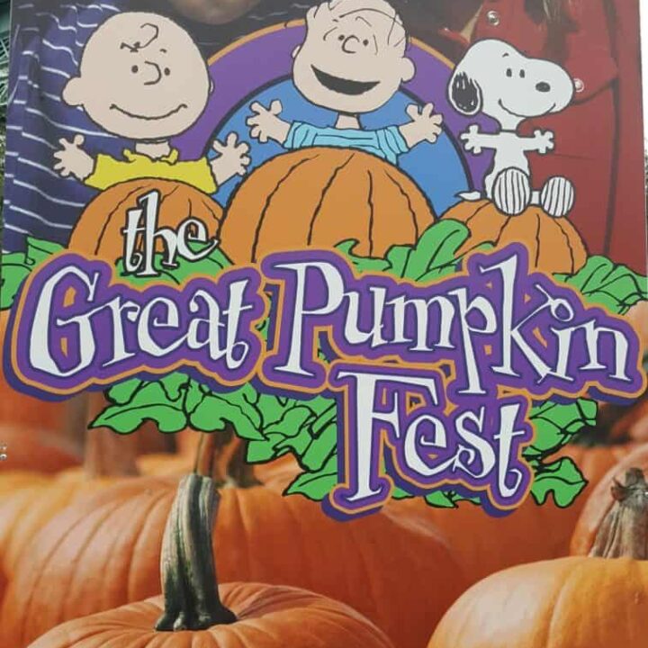 the great pumpkin fest