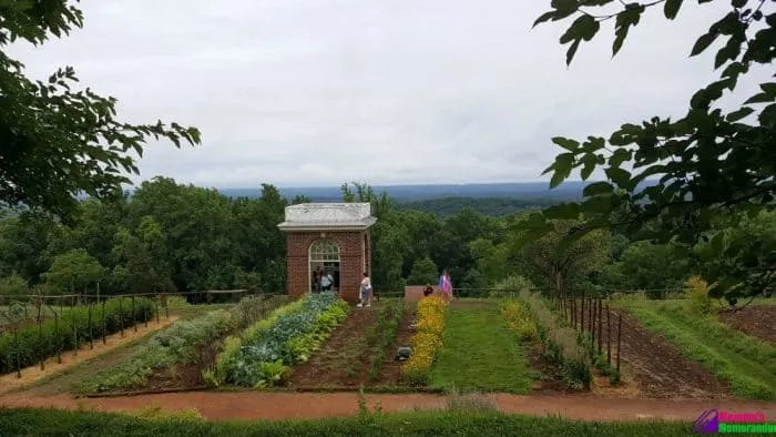 vegetable garden at thomas jefferson's monticello