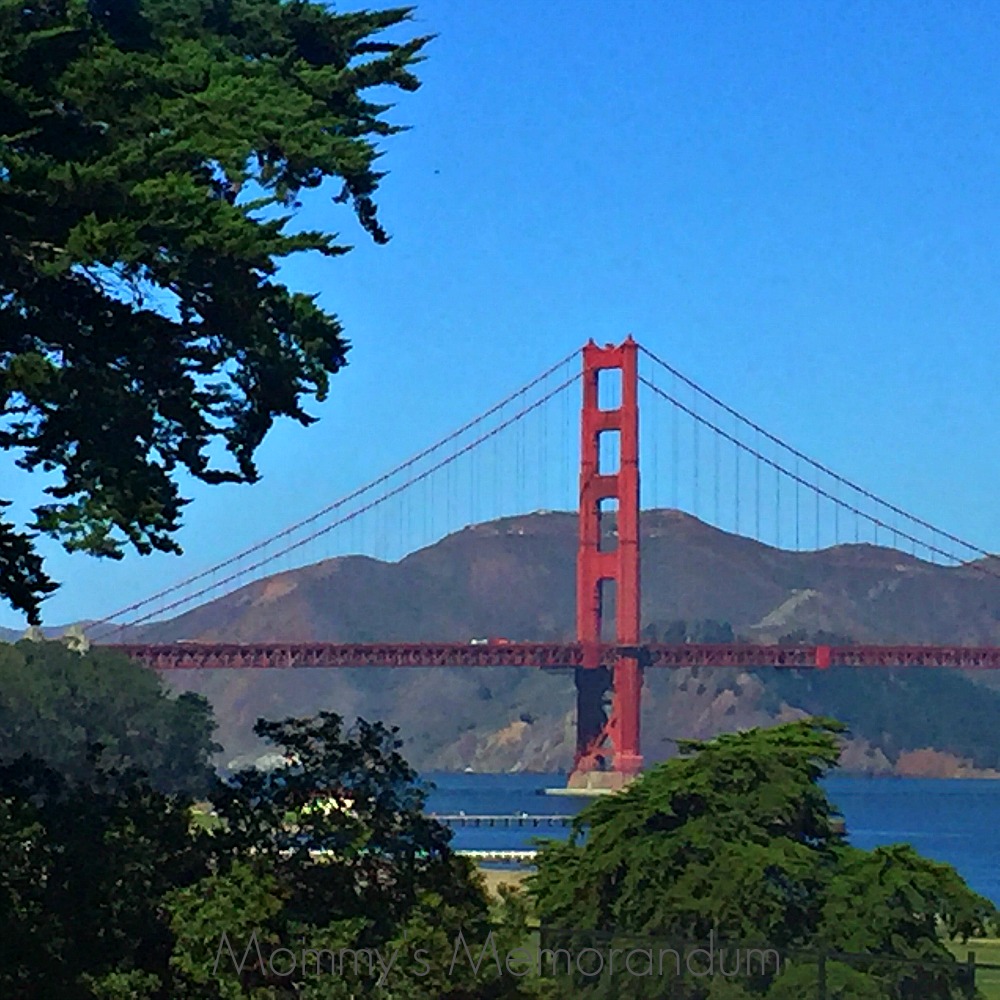 walt disney museum view of golden gate