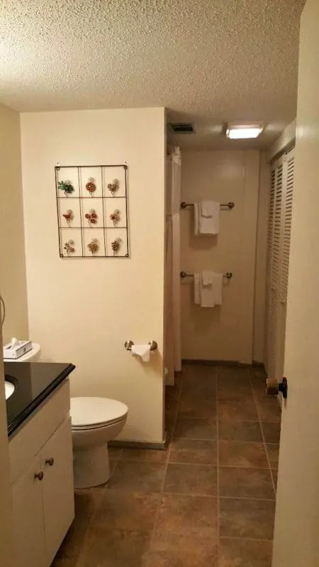 wintergreen main bathroom
