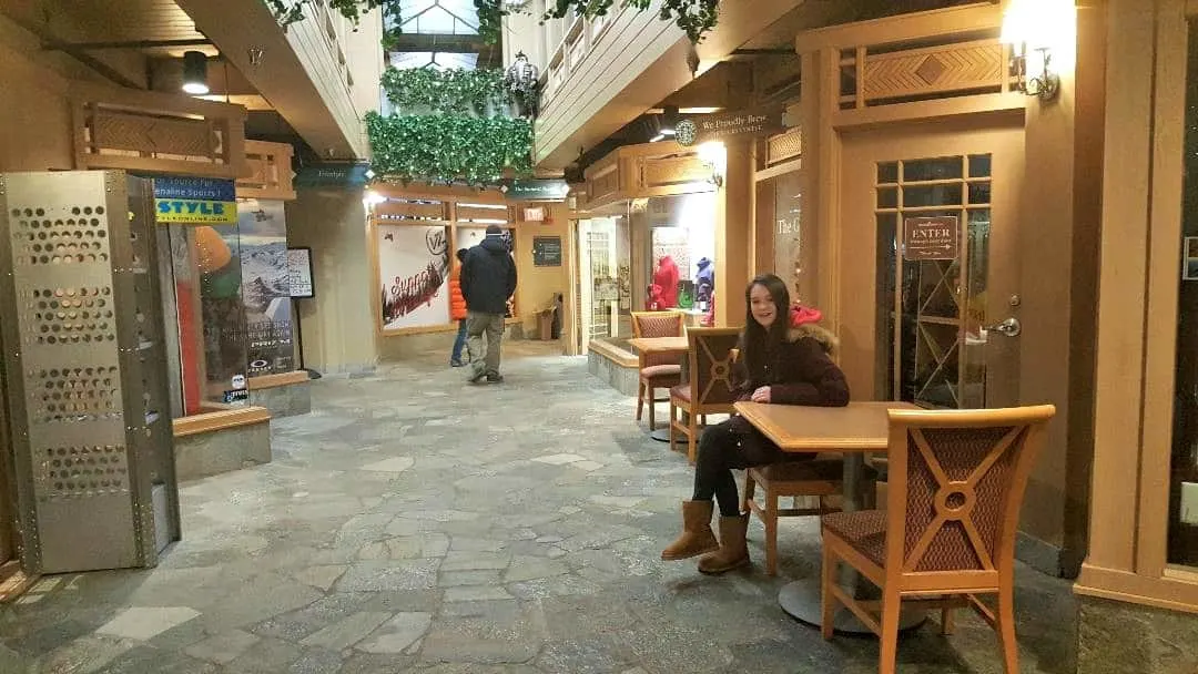 wintergreen mountain inn shopping area