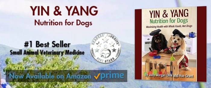Banner for the book 'Yin & Yang Nutrition for Dogs' by Judy Morgan and Hue Grant, featuring two dogs dressed as chefs and a #1 Best Seller badge.